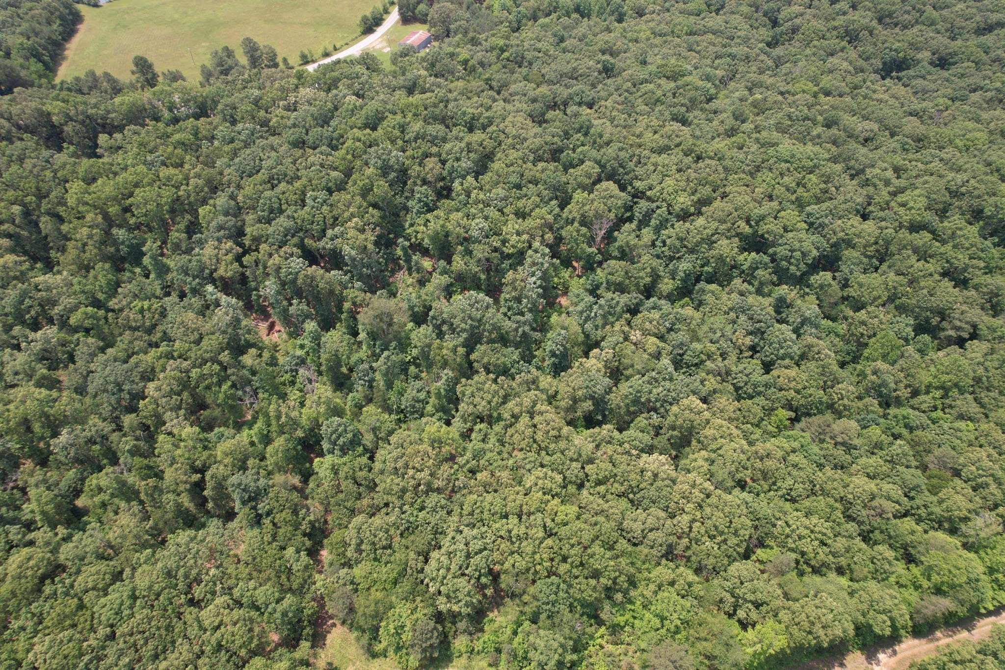 Summertown, TN 38483,0 Webb Rd Ext