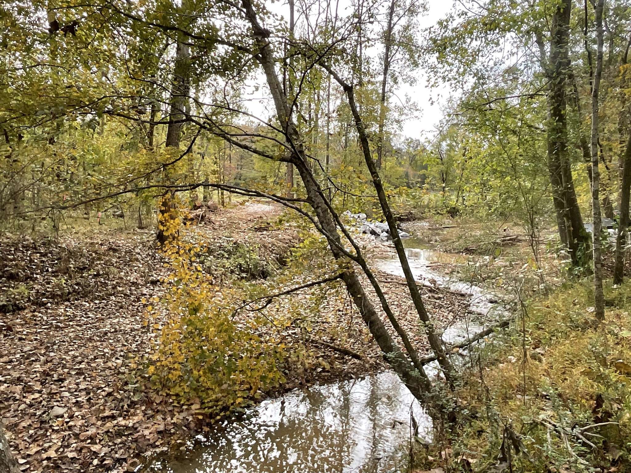 Palmyra, TN 37142,1 Budds Creek Road