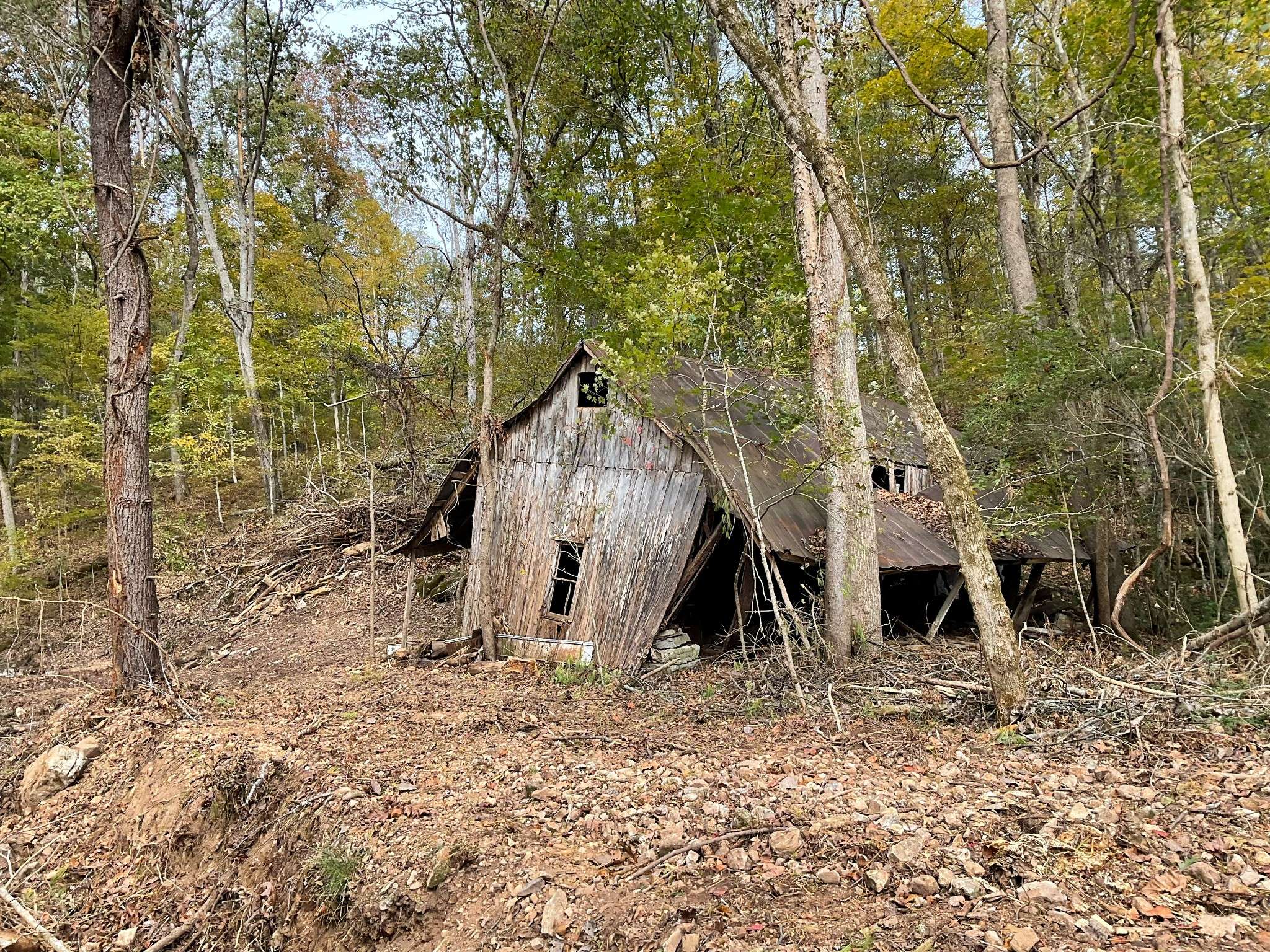 Palmyra, TN 37142,1 Budds Creek Road