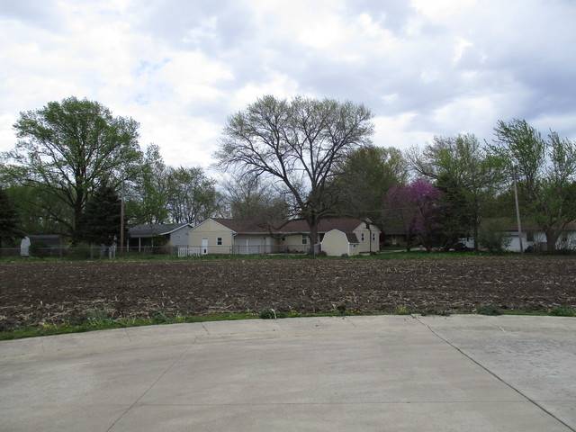 Tuscola, IL 61953,Lot 6 Fina DR