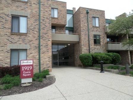 Schaumburg, IL 60173,1919 PRAIRIE SQ #226