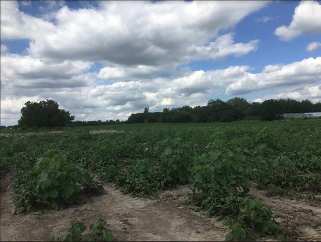 Gilberts, IL 60136,Lot 1 Koppie RD