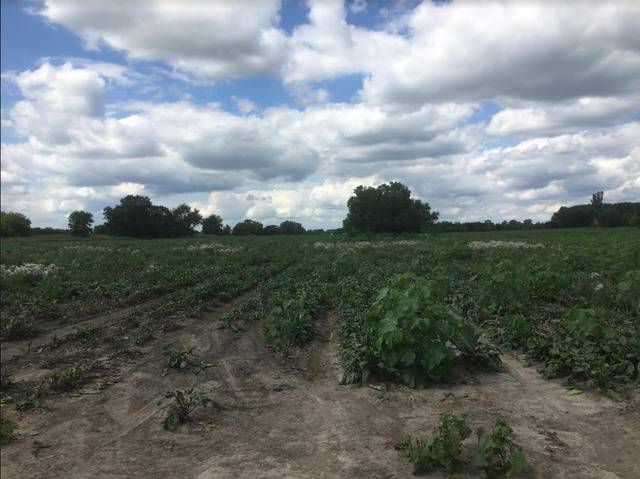 Gilberts, IL 60136,Lot 1A Koppie RD