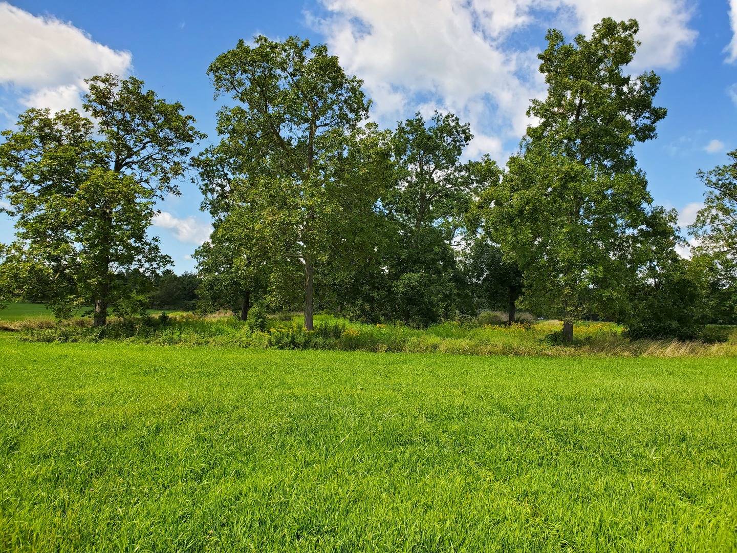 Sycamore, IL 60178,1936 Galloway Court, Lot 1