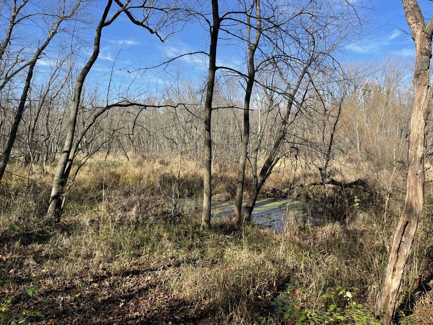 Aroma Park, IL 60910,24 Birchwood LN