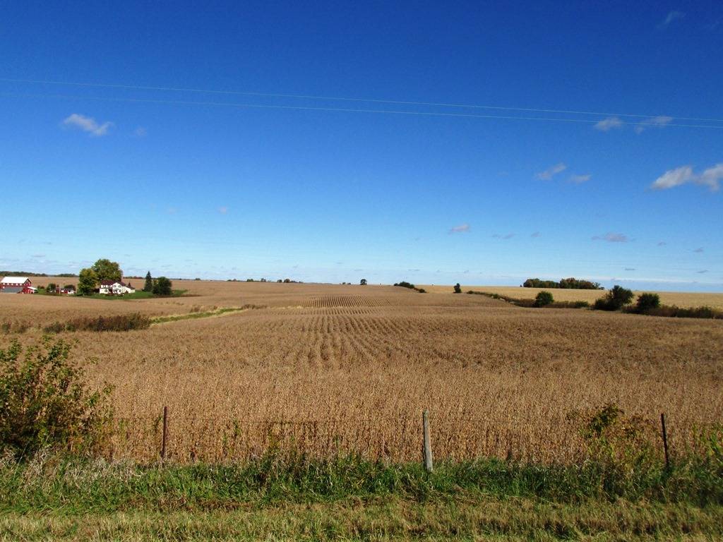 Orangeville, IL 61060,000 Eldorado RD
