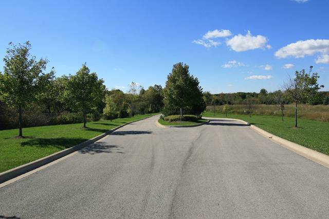 Wadsworth, IL 60083,14812 W Concord CT
