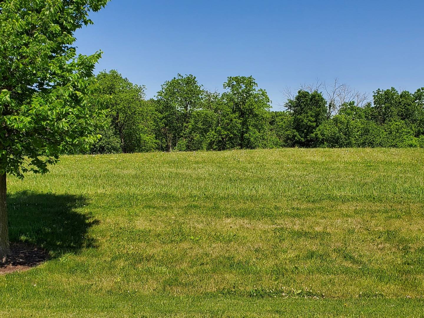 Wadsworth, IL 60083,14838 W Concord CT