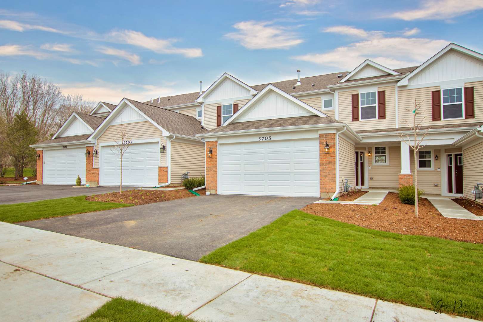 Johnsburg, IL 60051,4103 Monica LN #2