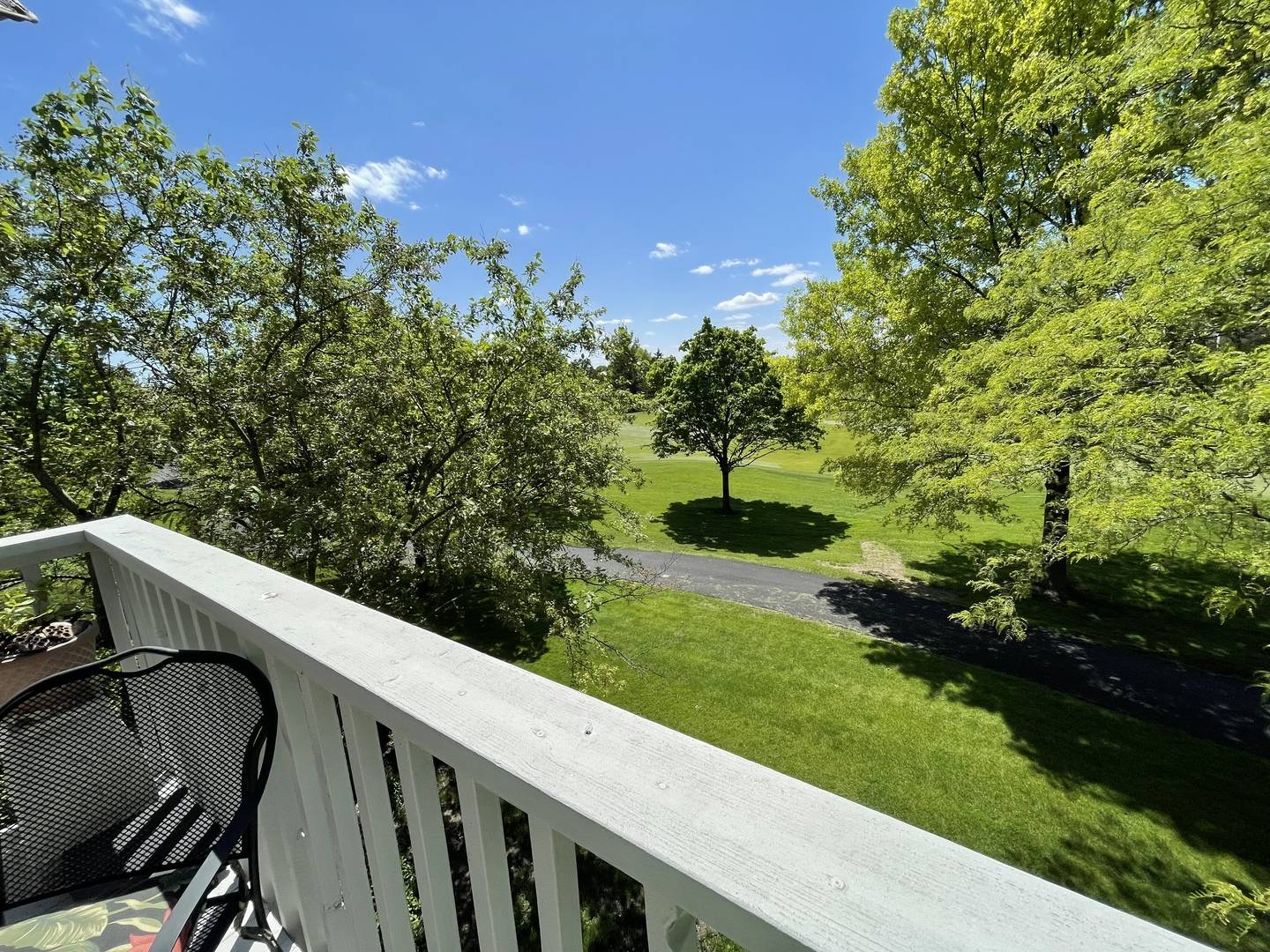 Naperville, IL 60564,1585 Aberdeen CT