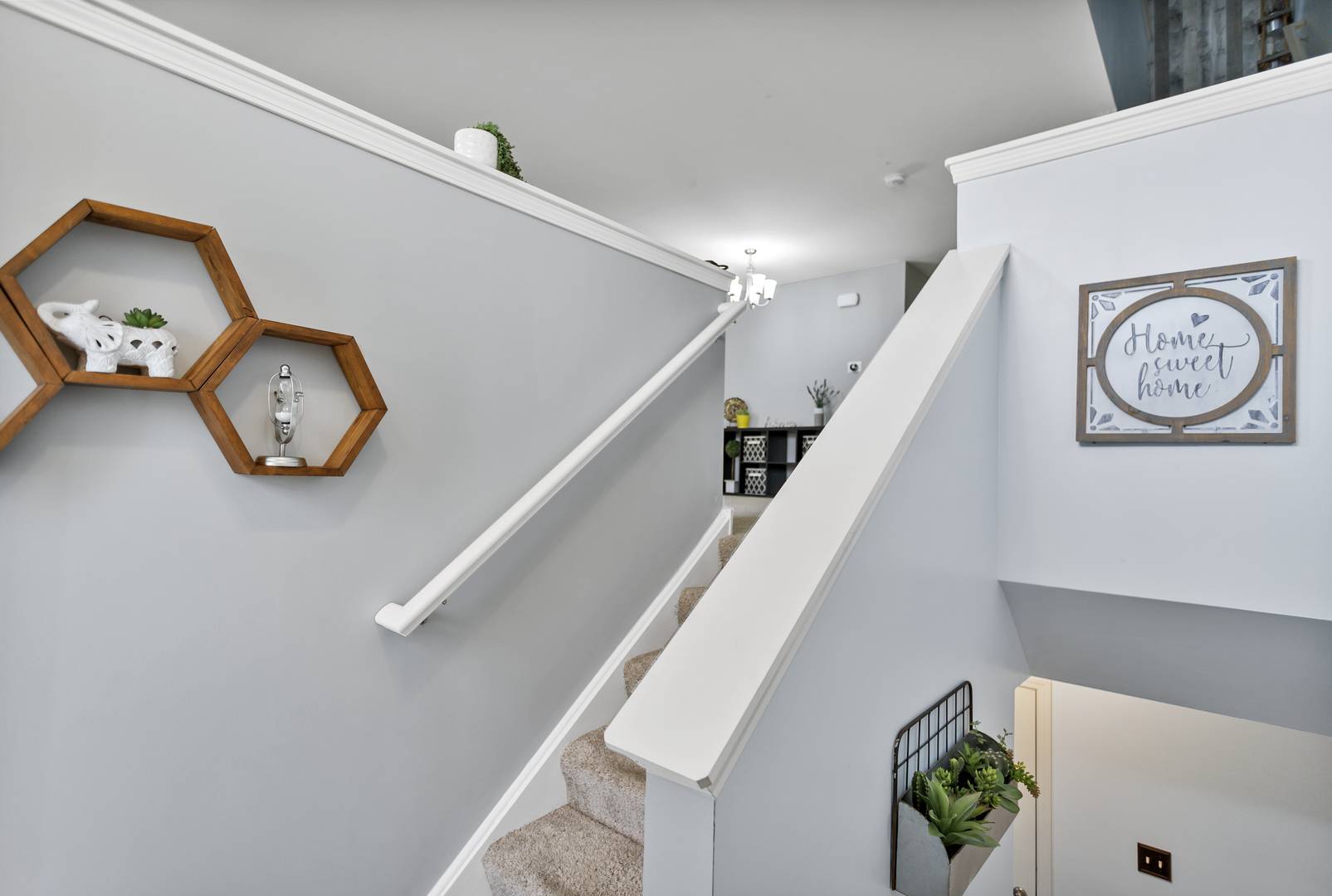 Pingree Grove, IL 60140,1794 Ruby DR