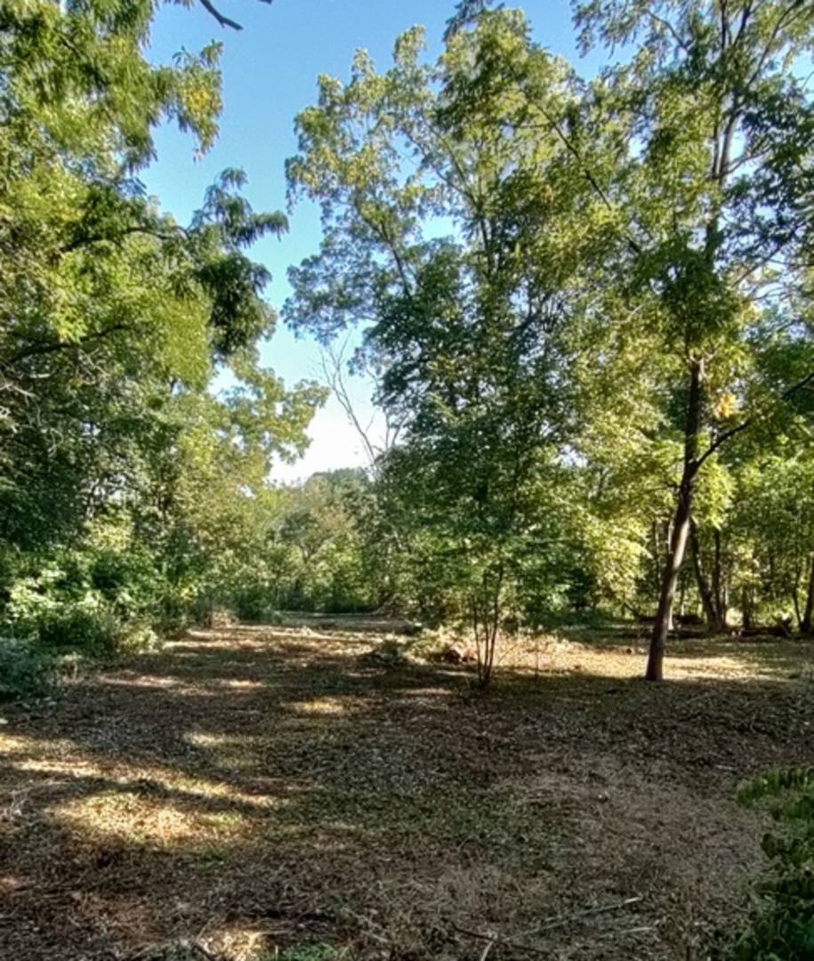 Elgin, IL 60120,11 Rohrssen Lot 1 RD