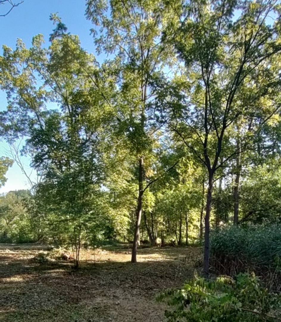 Elgin, IL 60120,11 Rohrssen Lot 1 RD