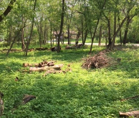 Johnsburg, IL 60050,Lot 16 Brorson LN