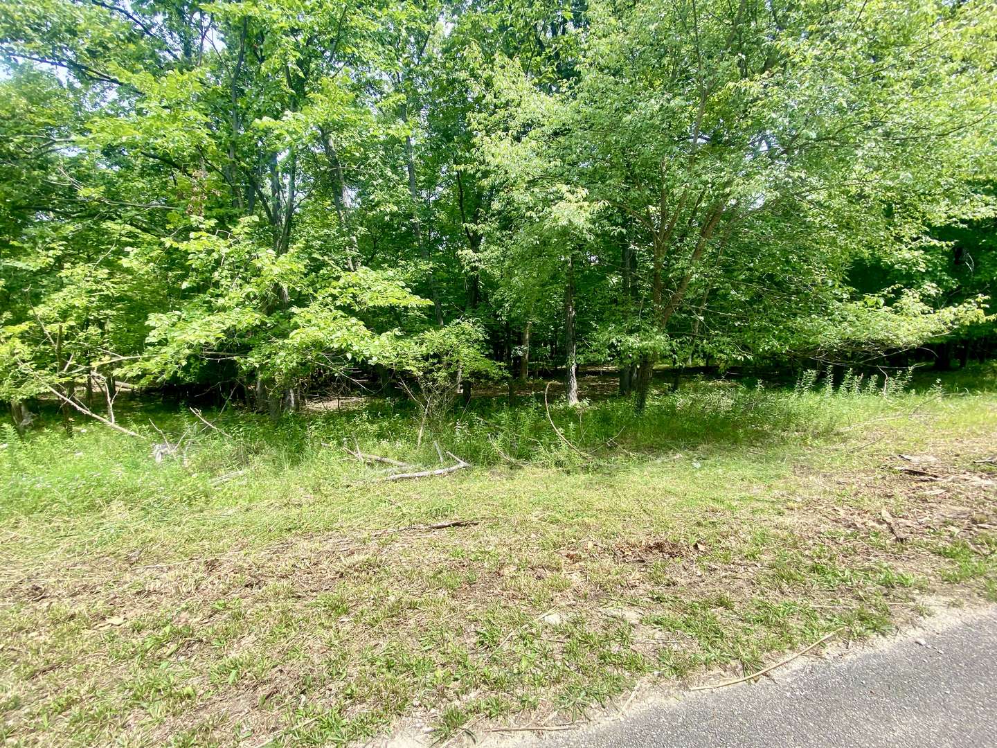 Seneca, IL 61360,Lot 55 Eagle Chase DR