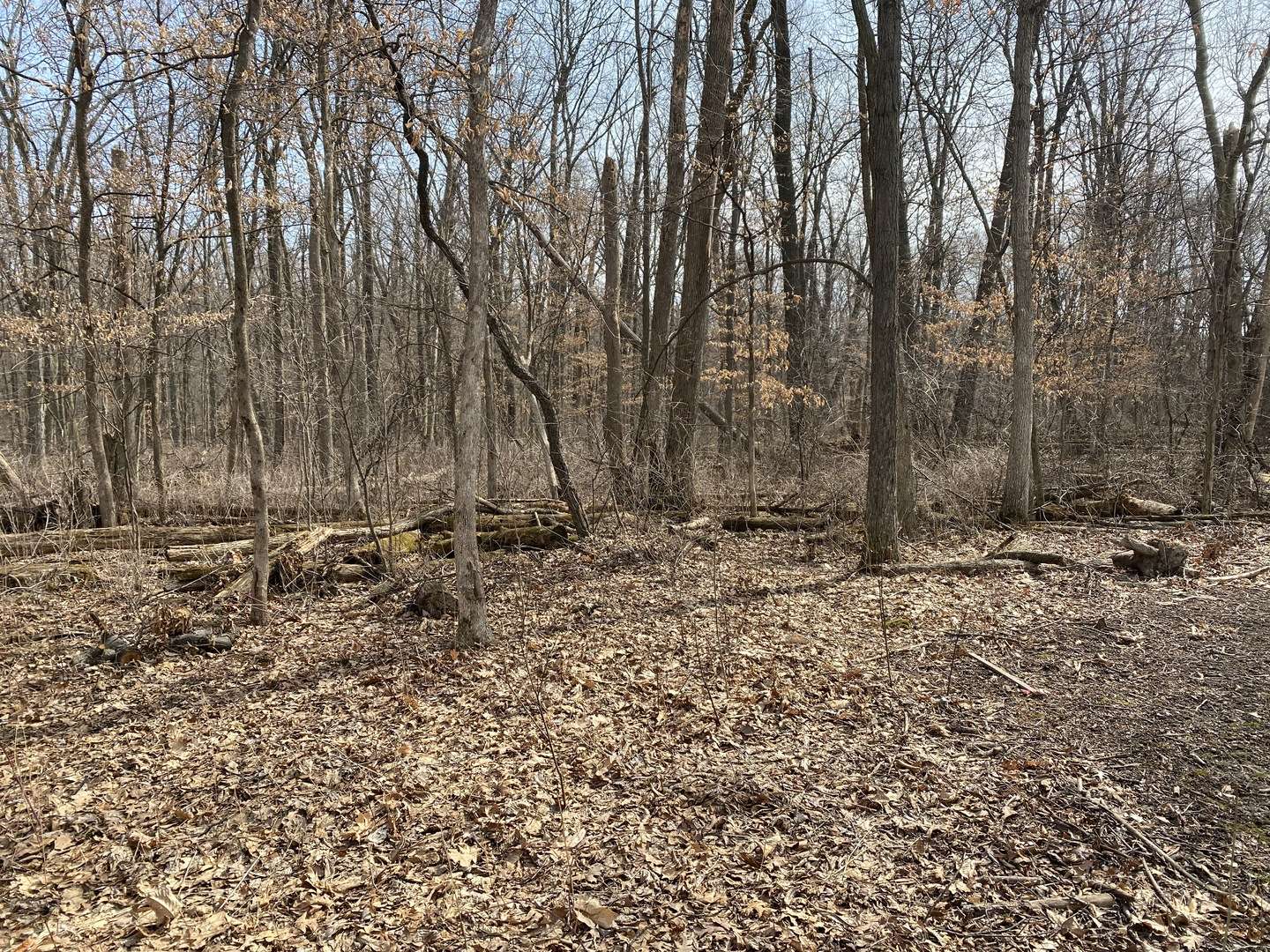 Genoa, IL 60135,1108 Oakview LN