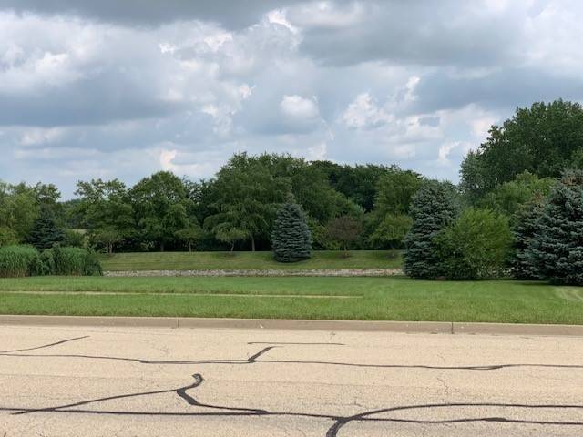 Plainfield, IL 60544,Lot#15 Prairie Hill LN