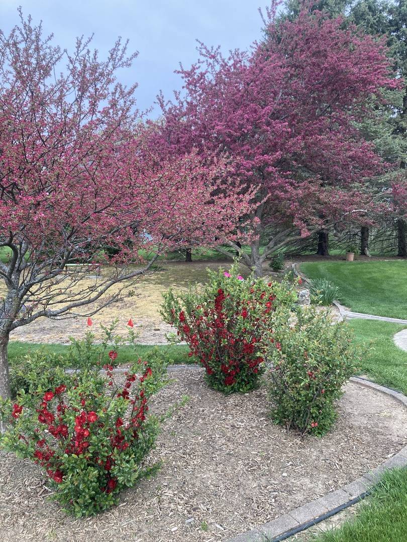 St. Charles, IL 60175,41W594 Hunters Hill DR