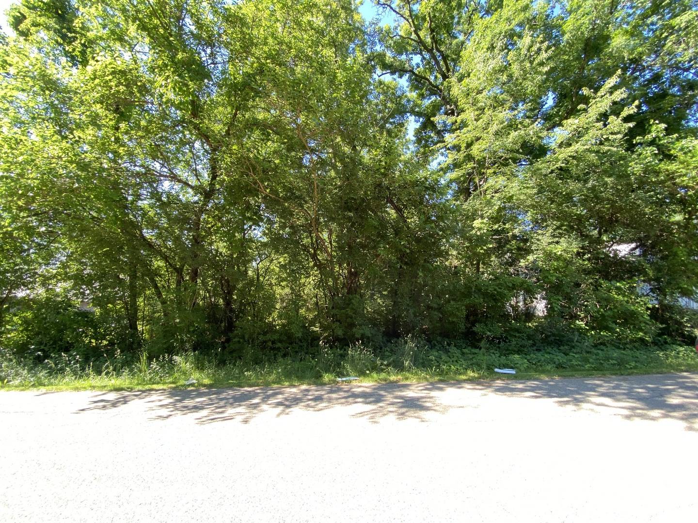 Wonder Lake, IL 60097,Lot 4 Block 3 Catalpa DR