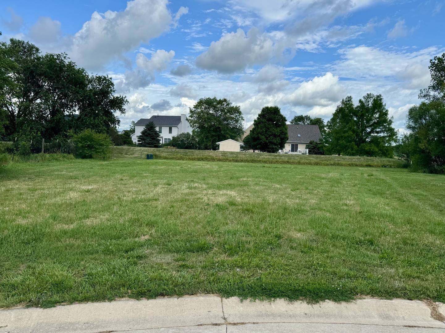 Leroy, IL 61752,119 Fox Run CT