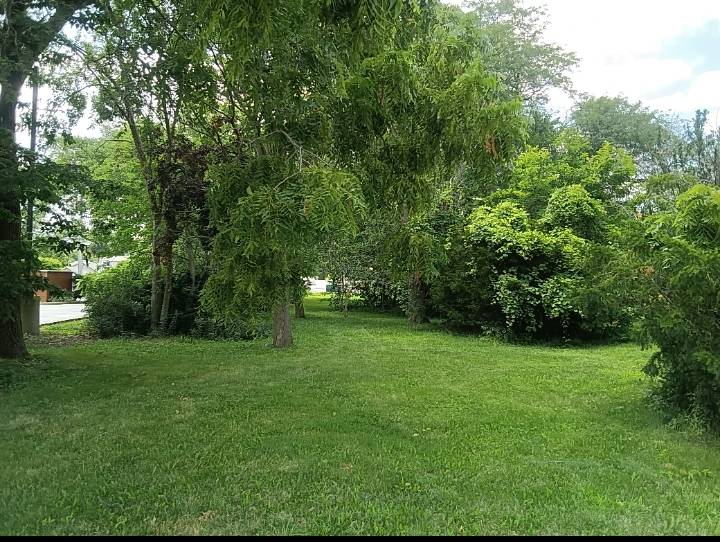 Tinley Park, IL 60477,16724 Oak Park AVE
