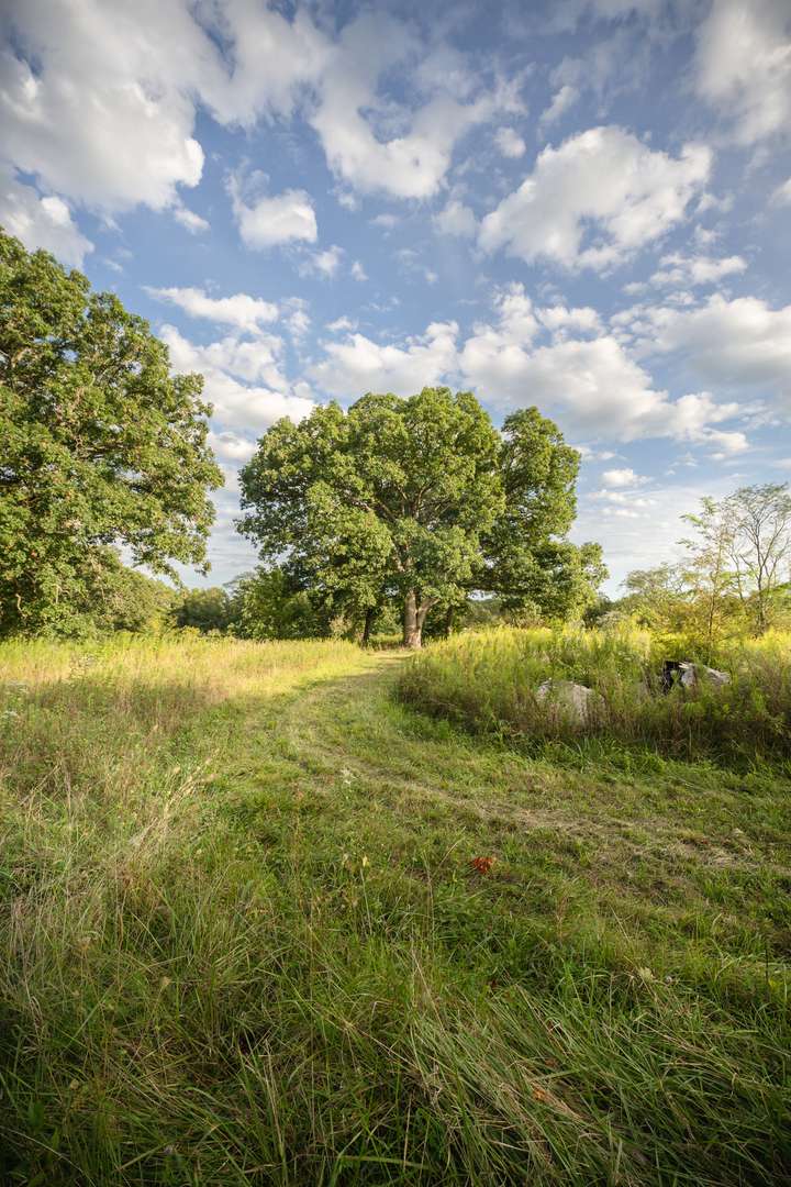 Penfield, IL 61862,3200 N