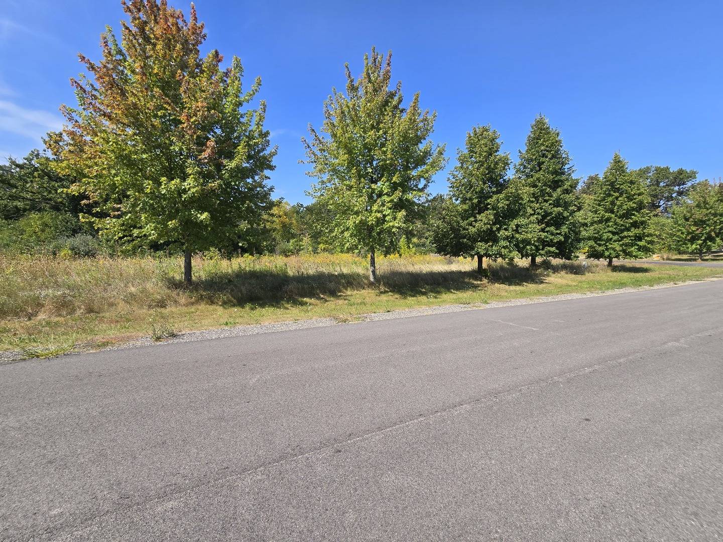 Wadsworth, IL 60083,40342 N Belle Foret DR