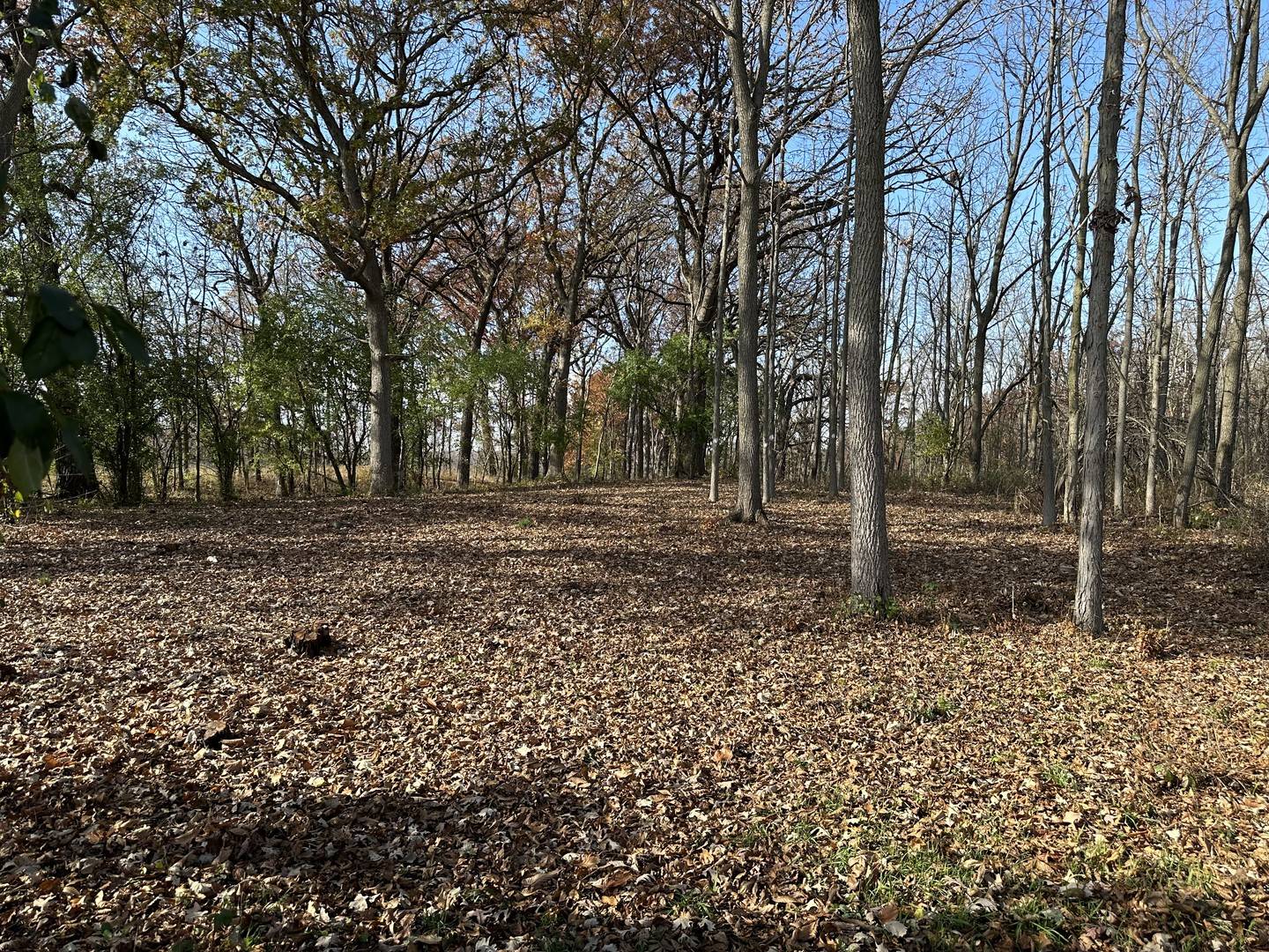 Wadsworth, IL 60083,Address not disclosed