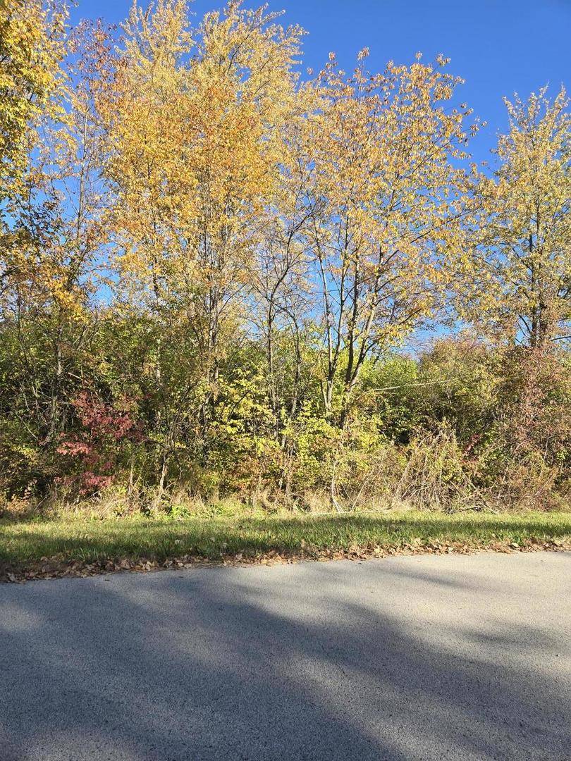 Monee, IL 60449,vacant W Monee-Manhattan RD
