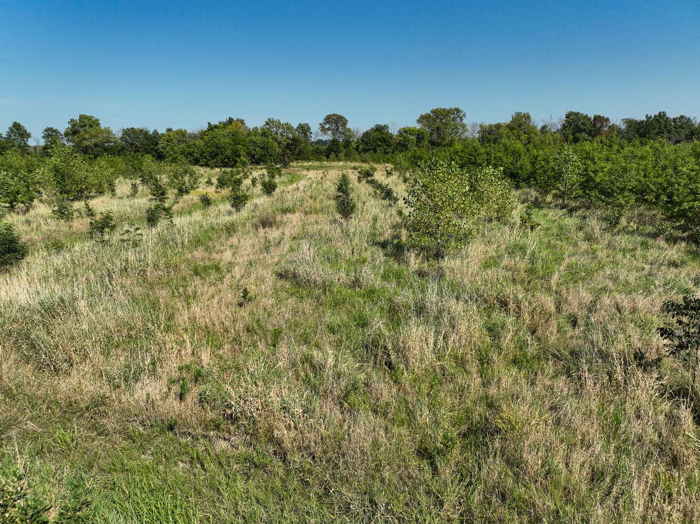Clay City, IL 62824,Tract 5 East Radio Tower RD