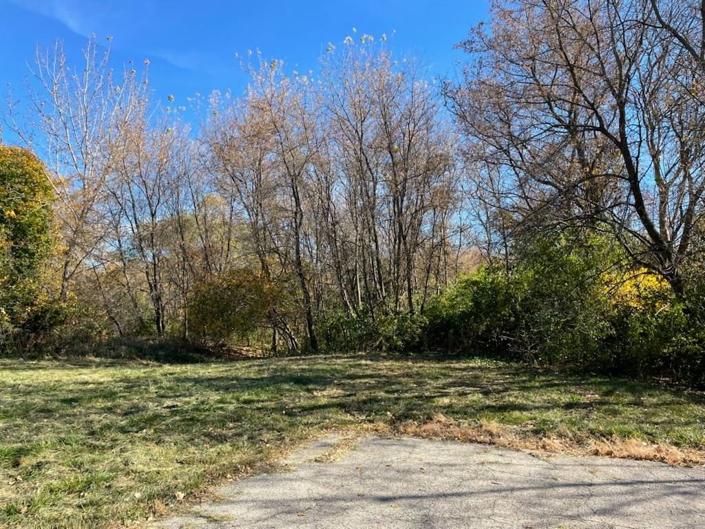 Elgin, IL 60124,Lot 100 South ST