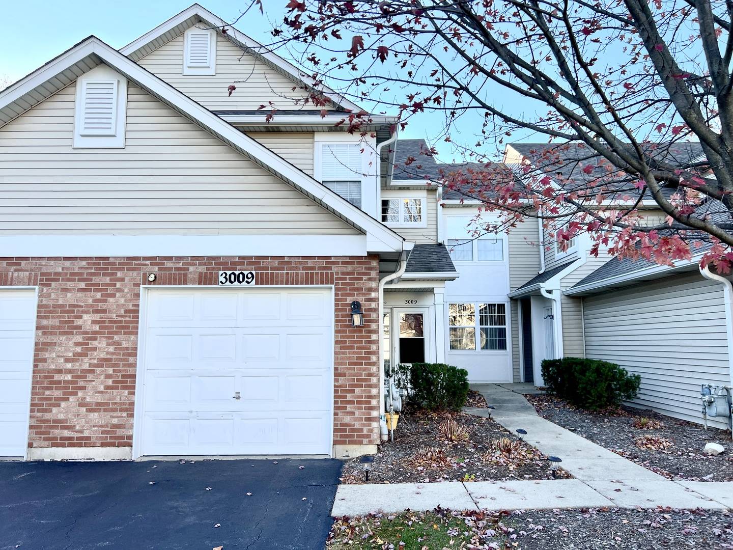 Naperville, IL 60564,3009 Kentshire CIR