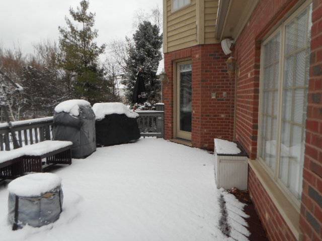 Darien, IL 60561,8825 Robert RD