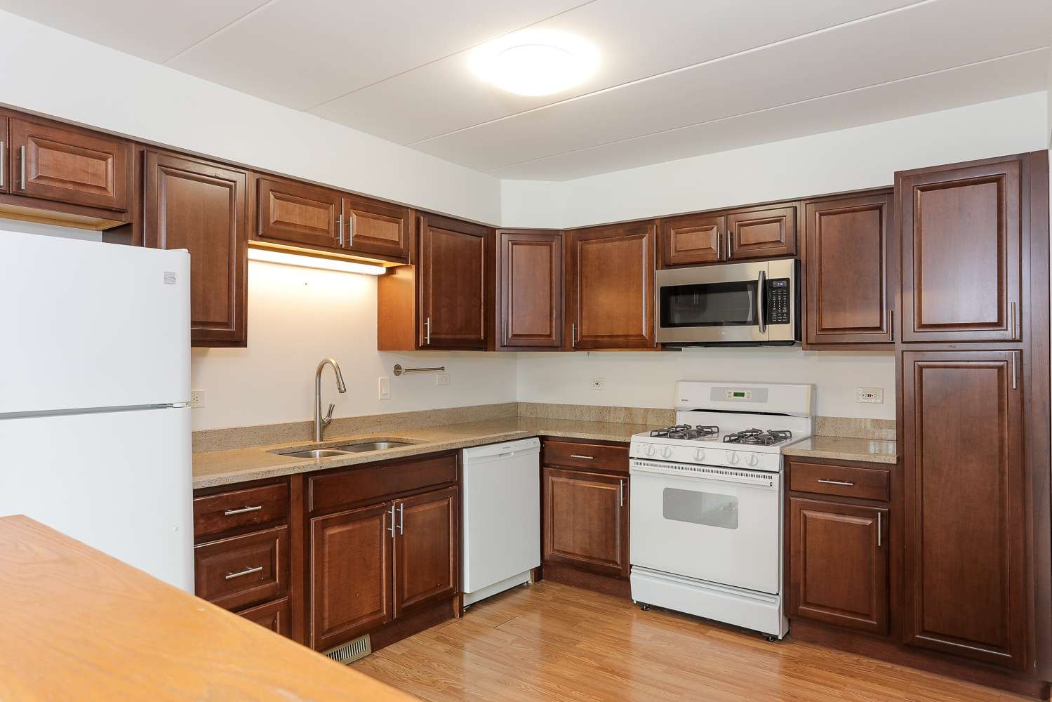 Palos Hills, IL 60465,8204 W 111th ST #2-1B