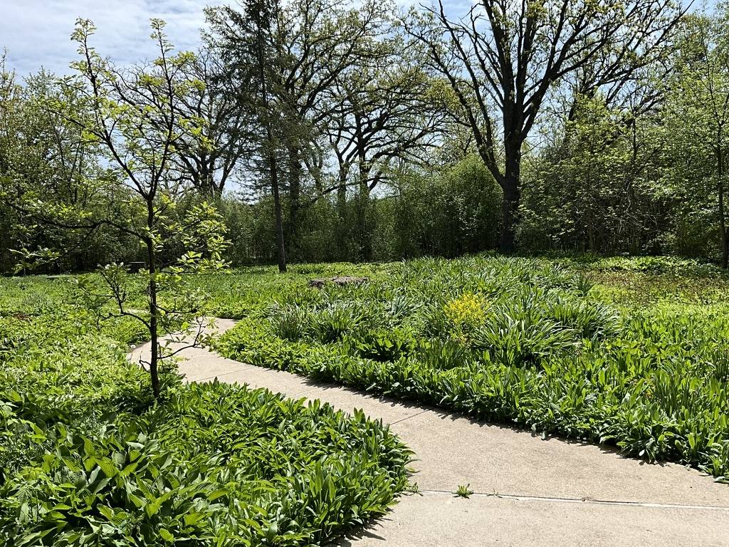 Wadsworth, IL 60083,37100 N Thoroughbred DR