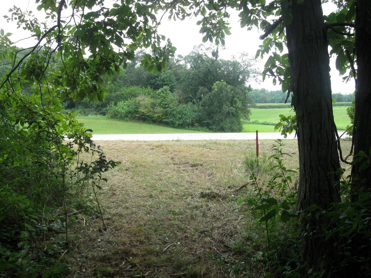 Potomac, IL 61865,30434 Peaceful CT