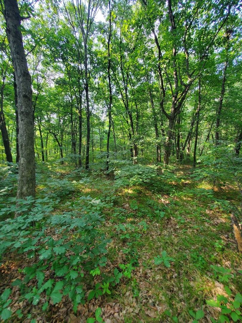 Pembroke Twp, IL 60958,0000 1840 RD