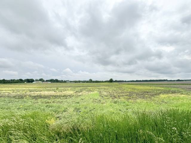 Wilmington, IL 60481,0 W Wilmington-Peot RD