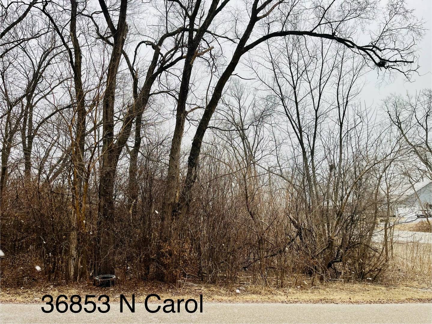 Lake Villa, IL 60046,21290 W Engle DR