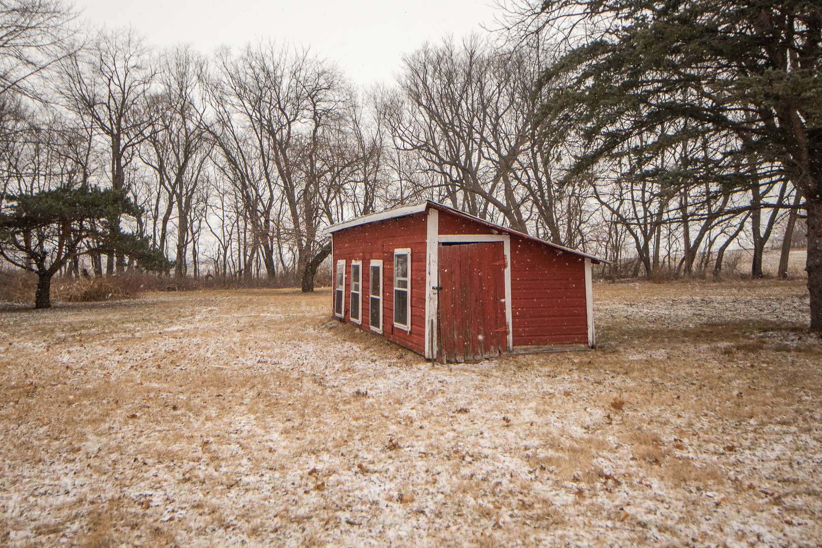 Polo, IL 61064,16212 W Milledgeville RD