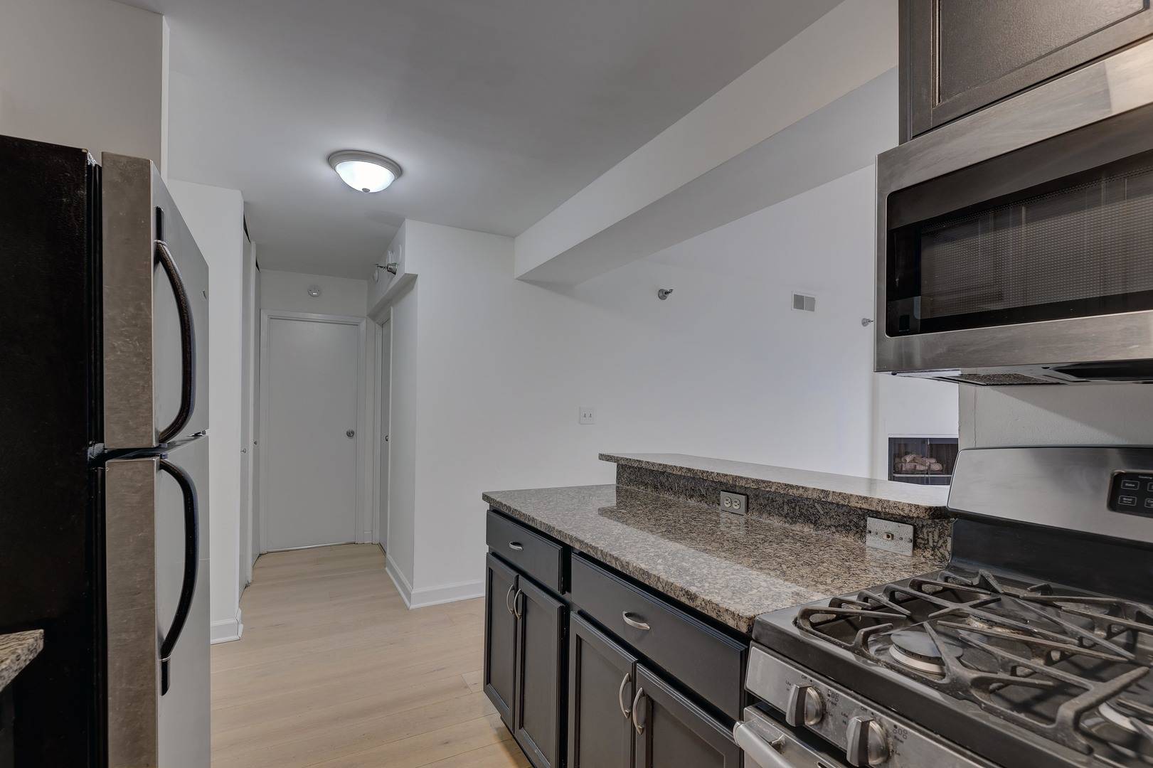 Chicago, IL 60610,1309 N Wells ST #706