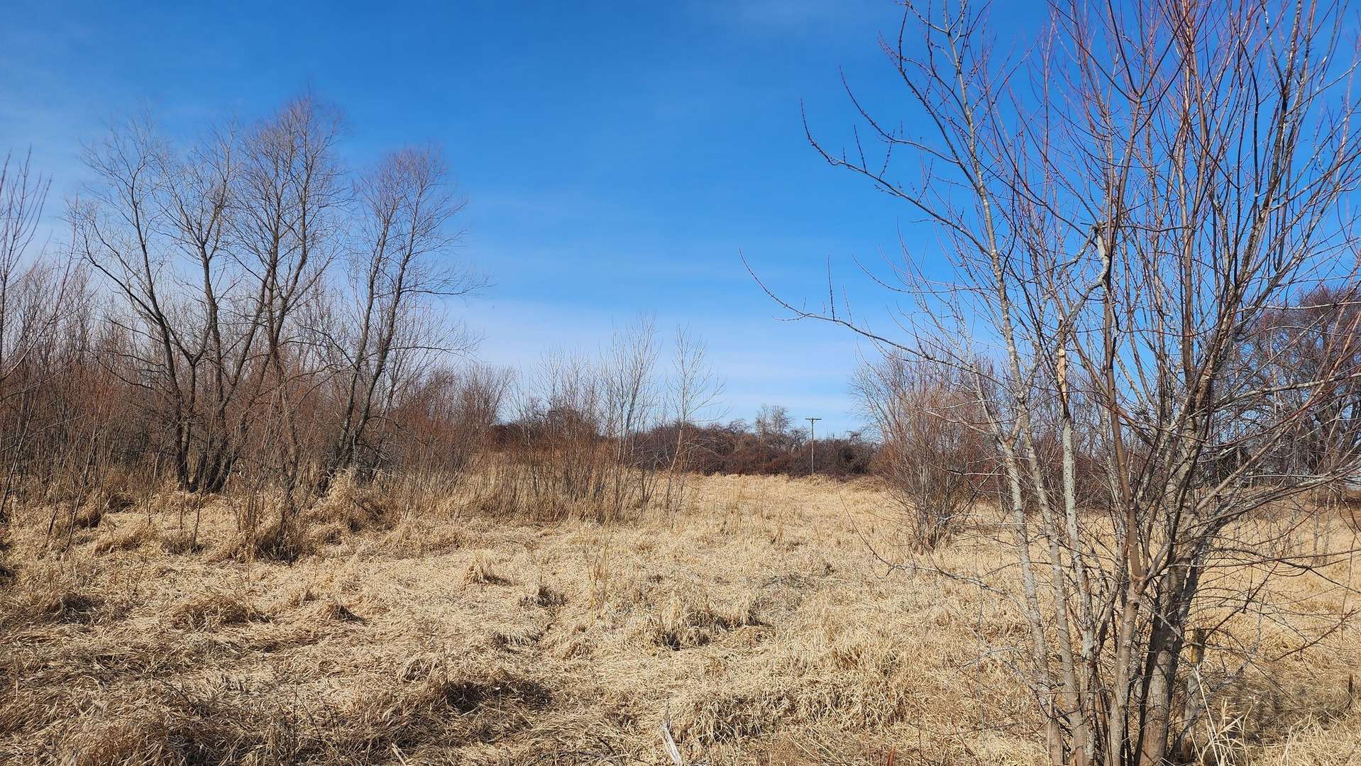 Ridott, IL 61067,9836 E Maize RD