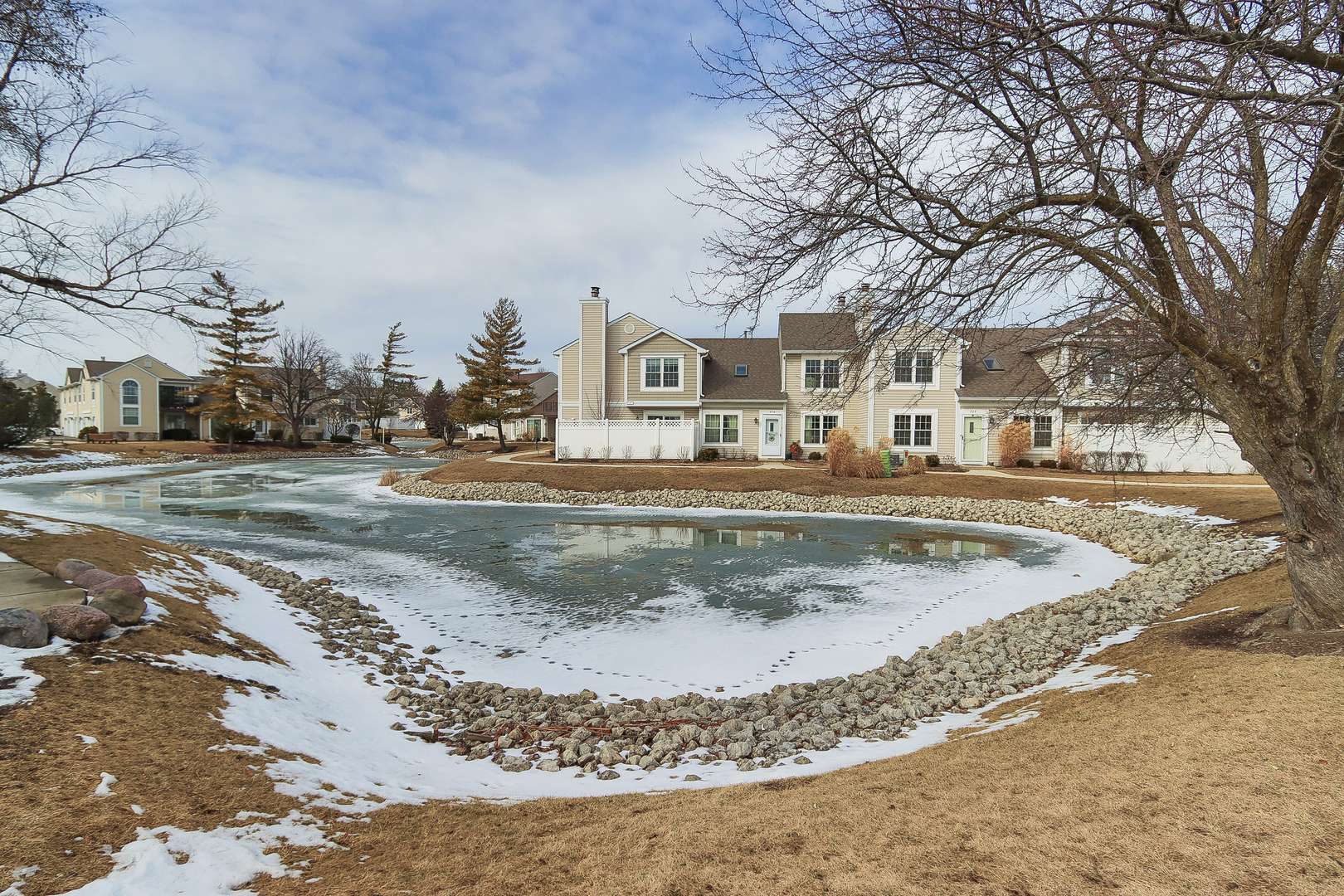 Buffalo Grove, IL 60089,264 Le Parc CIR #264