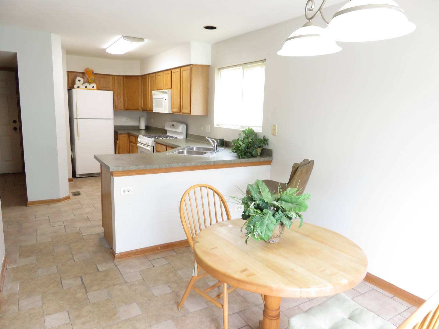 Joliet, IL 60436,3009 Arborsedge DR