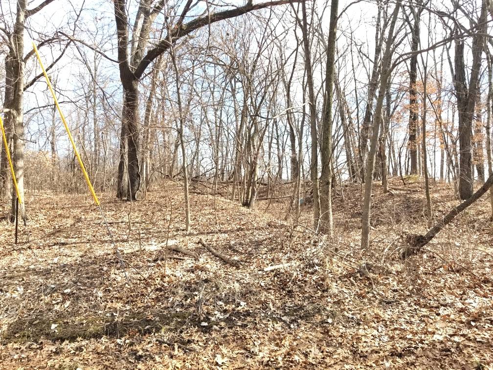 Varna, IL 61375,Lot 1750 Sunflower CT