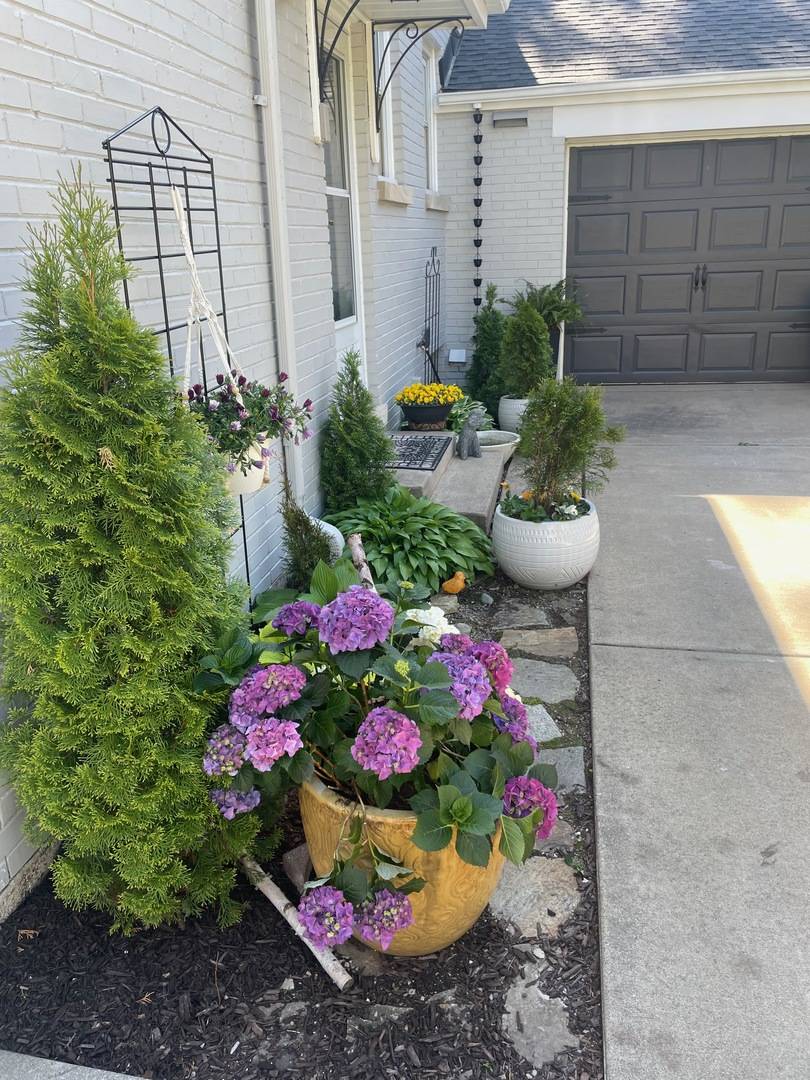 Park Ridge, IL 60068,108 East AVE