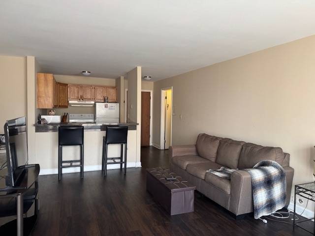 Lisle, IL 60532,5830 Oakwood DR #4D