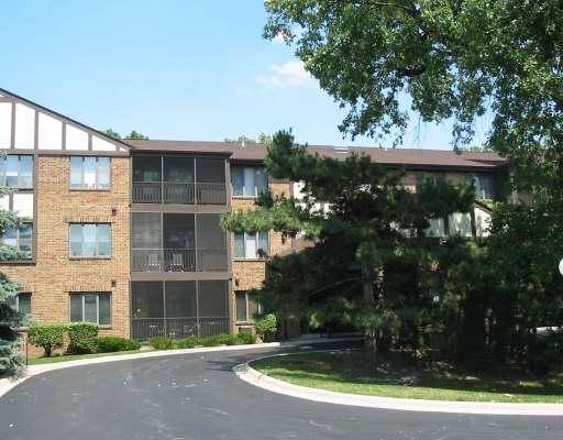 Palos Heights, IL 60463,7800 W Foresthill LN #301