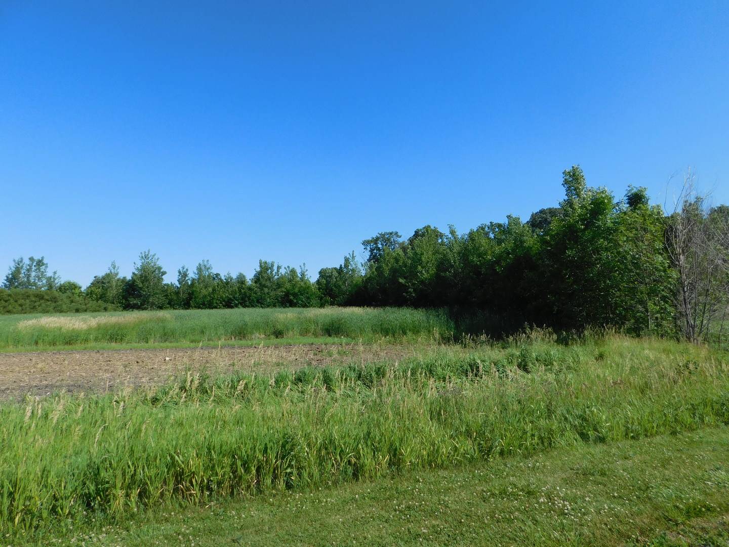 Earlville, IL 60518,1386 N 4535th RD