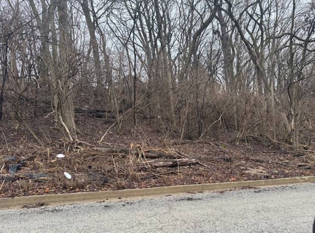 Joliet, IL 60432,Lot 26, Block 1 Vacant N Fairview AVE